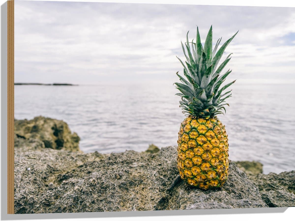 Hout - Ananas - Rotsen - Zee - Golven - 80x60 cm - 9 mm dik - Foto op Hout (Met Ophangsysteem)