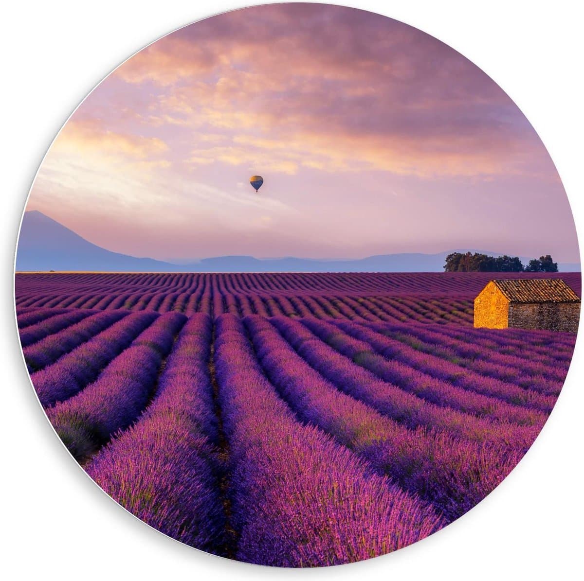 KuijsFotoprint - Schilderij - Twee Luchtballonnen Boven Lavendelvelden - Blauw, Roze En Paars - 80 X 80 Cm