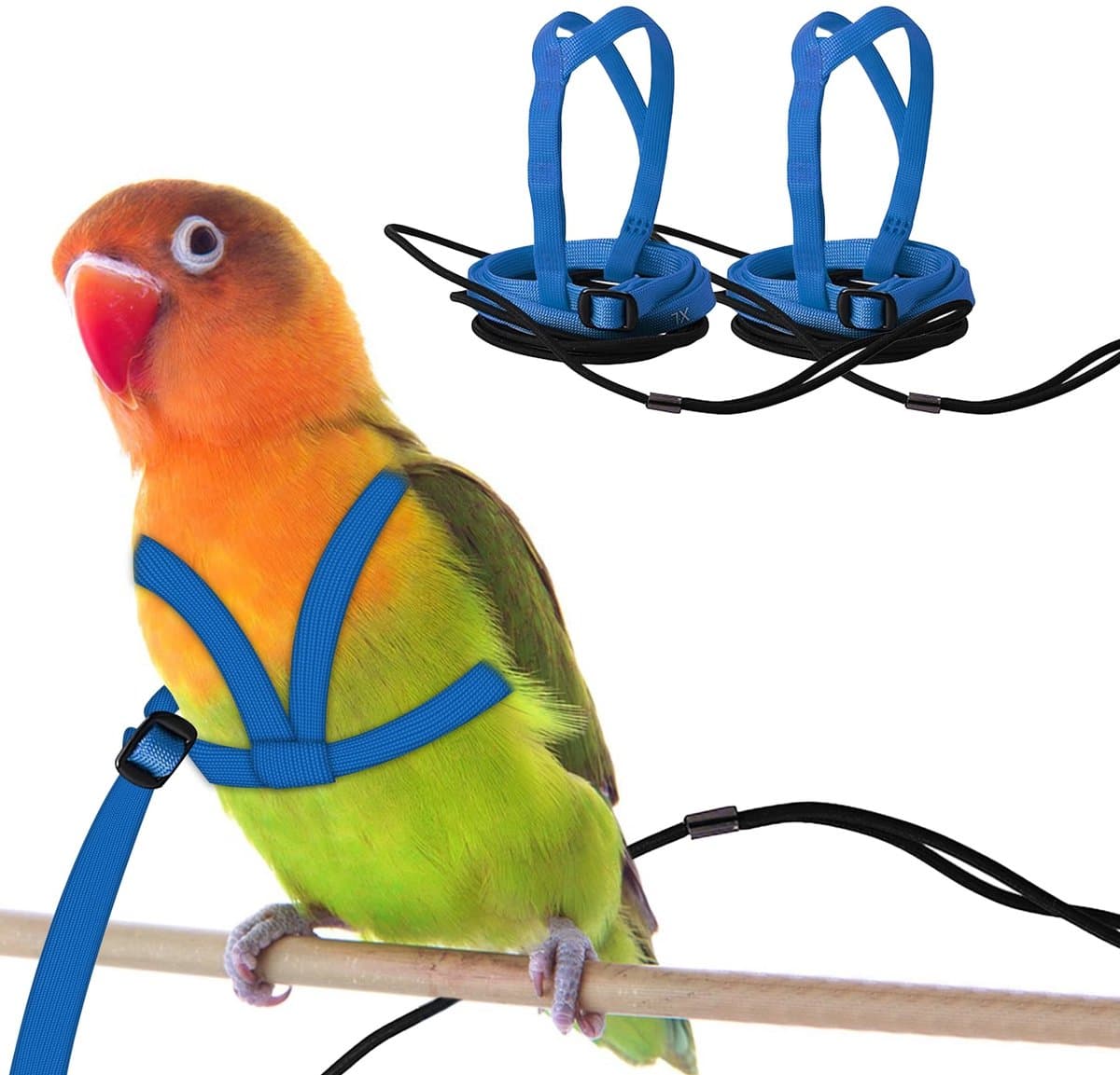 Vogel Harnas - Vlieglijn Set - Buiten Training - Verstelbaar Ontwerp - Borst 46-76cm - Blauw