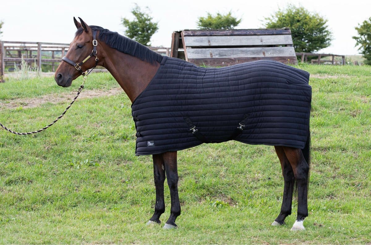 Harry's Horse Onderdeken Harry's Horse Powerliner 200gr Zwart - 135/185