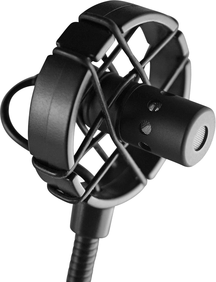 Microfoon voor Dubbele Basinstrumenten