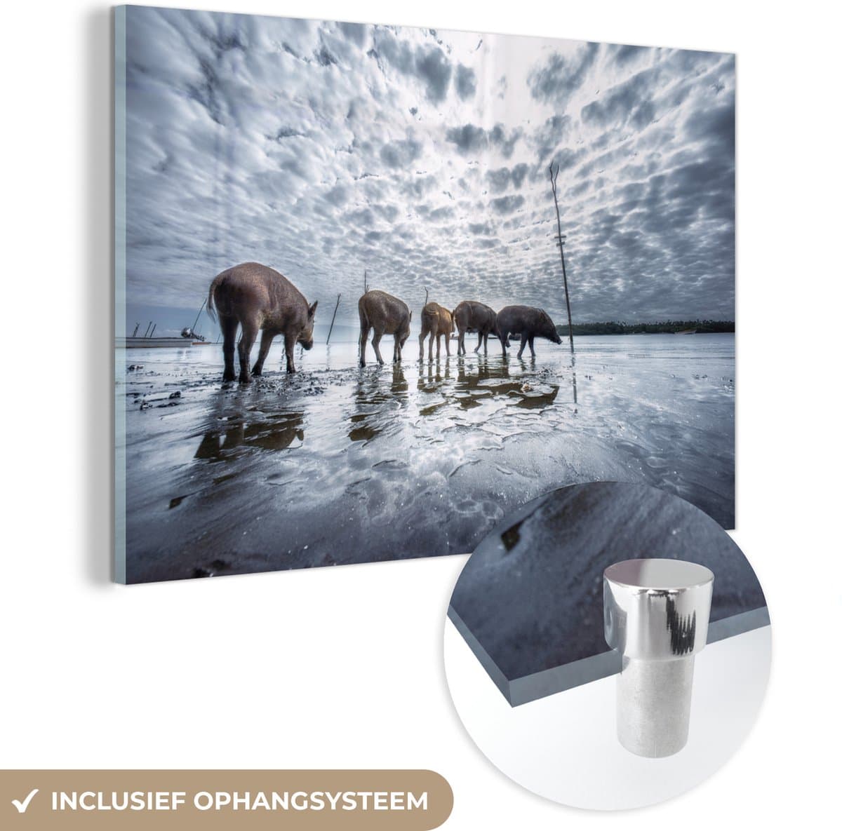 MuchoWow® Glasschilderij 30x20 cm - Schilderij acrylglas - Varkens - Strand - Wolken - Foto op glas - Schilderijen