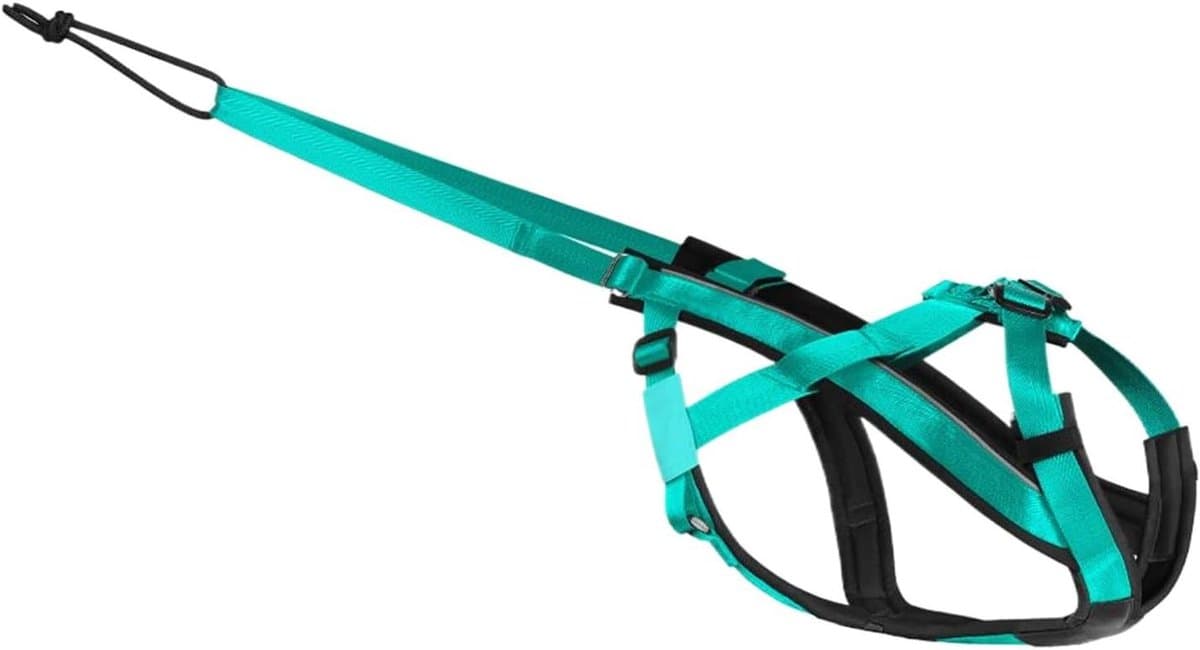 Hondentuigje - Honden Harnas - Outdoor Activiteiten - Reflecterend Veilig - Nek 40-55cm Borst 62-89cm - Groen