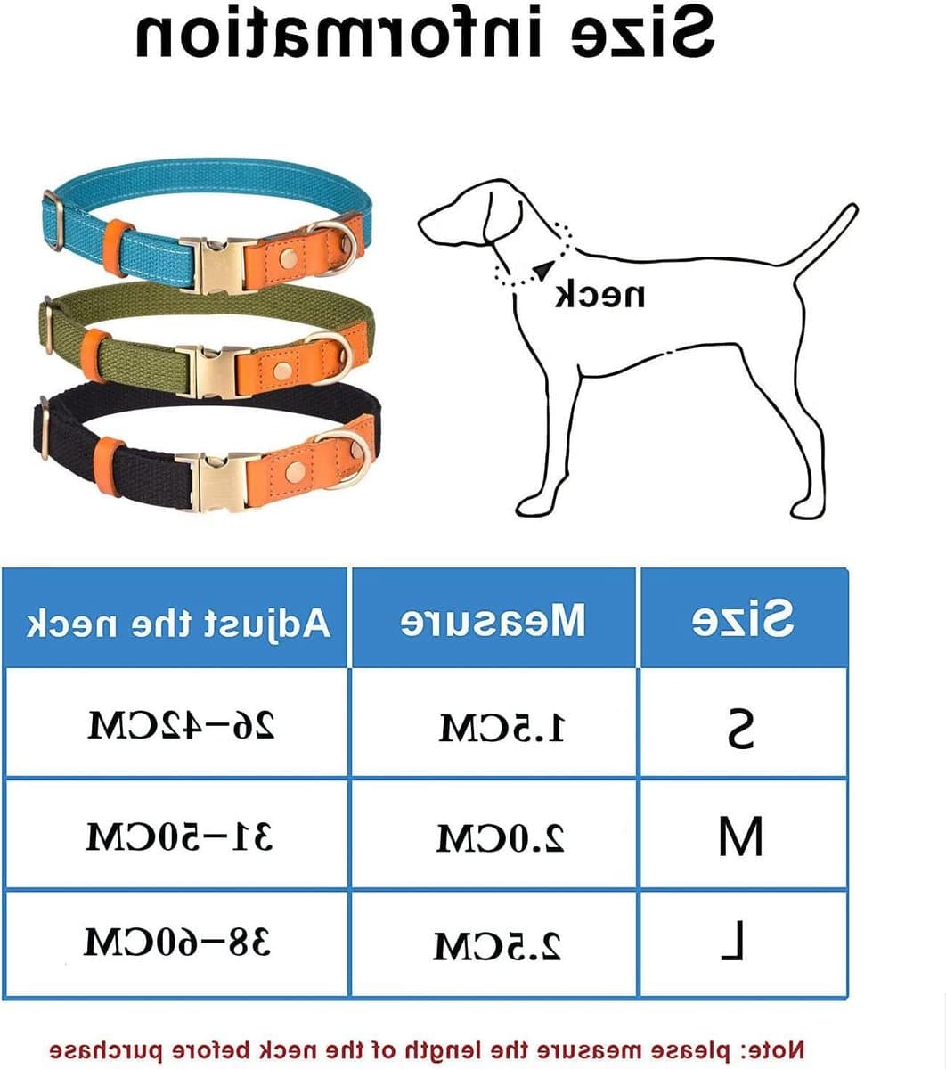 ByShane - Verstelbare Nylon Halsband met Metalen Veiligheidsgesp voor Honden - Leer en Nylon - Donkerblauw - Geschikt voor Kleine, Middelgrote en Grote Honden