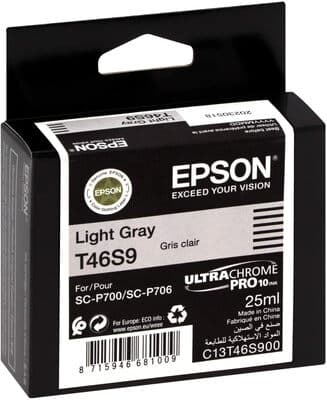 Epson UltraChrome Pro inktcartridge 1 stuk origineel lichtgrijs