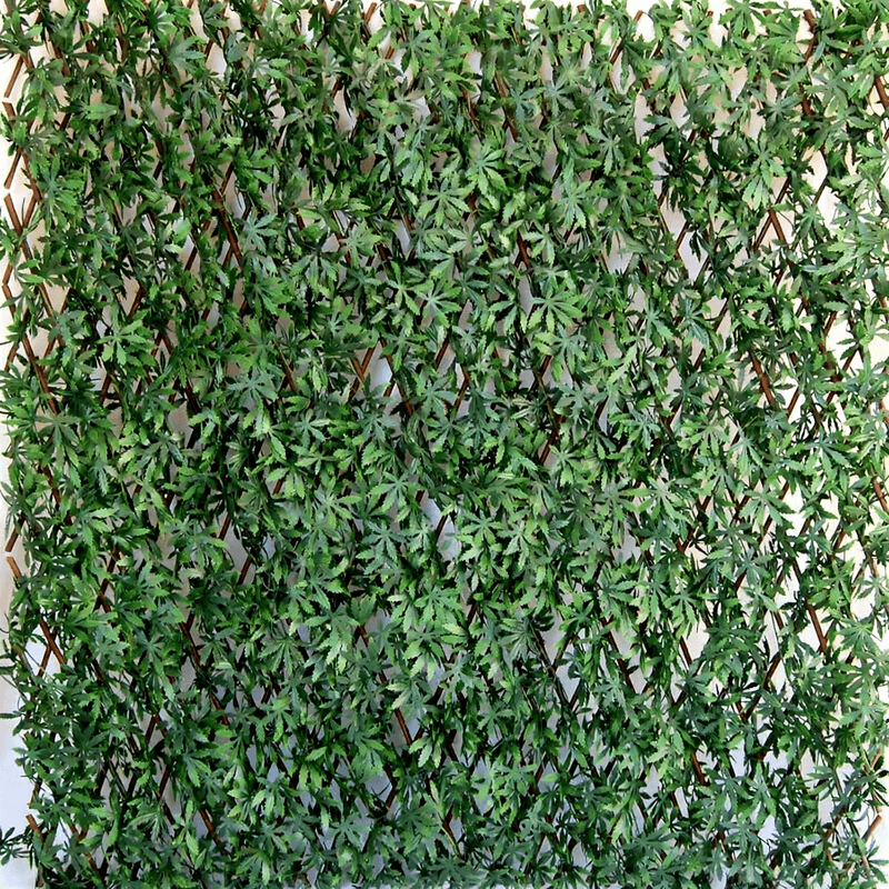 Tenax Divy 3D X-Tens Groene Privacy Barrière - 1x2m, Rode Acer Palmatum