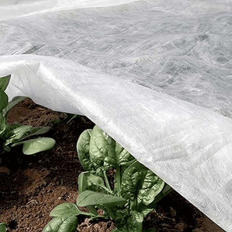 TENAX Ortoclima Plus Vorstbeschermingsdoek - 2,4 x 5 m, 30 g/m², Wit