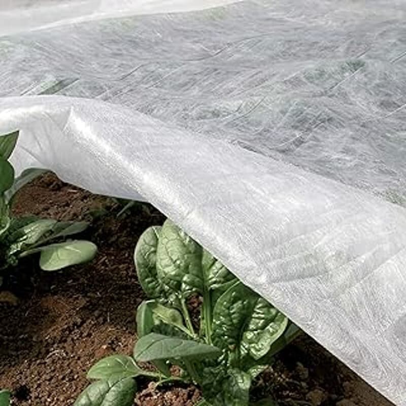 TENAX Ortoclima Plus Winter Fleece voor Planten - 2,4 x 10 m, Wit