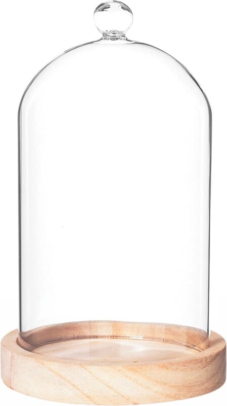 Atmosphera Decoratieve Cloche - Glas met Natuurlijke Houten Basis, 19 cm