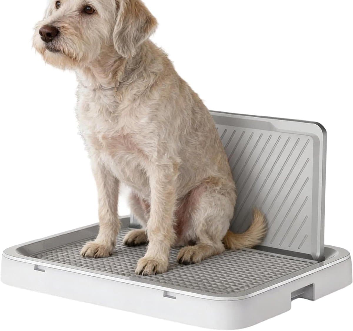 Puppy Potty Tray - Hondentoilet Zindelijkheid - Binnen Zindelijkheidstraining - Spatwaterdicht Lekvrij Ontwerp - 52 x 42 x 8 cm