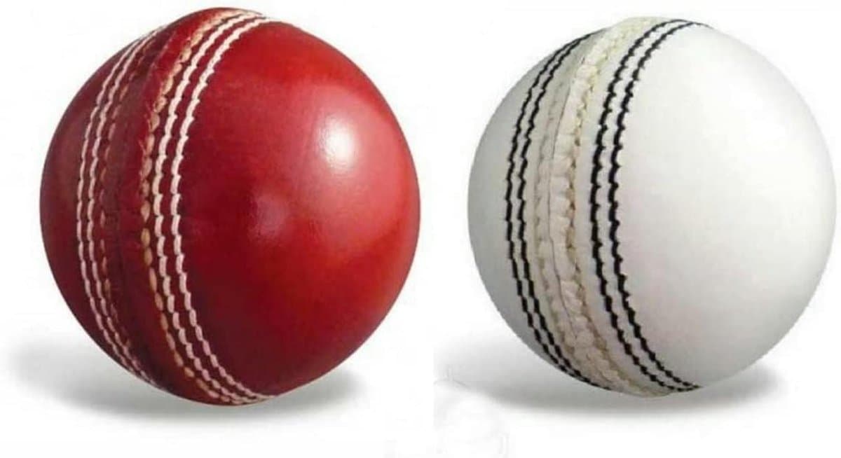 Cricket Bal - Sportbal Leer - Wedstrijd Training - Schokvrije Prestaties - 2 Stuks - Wit