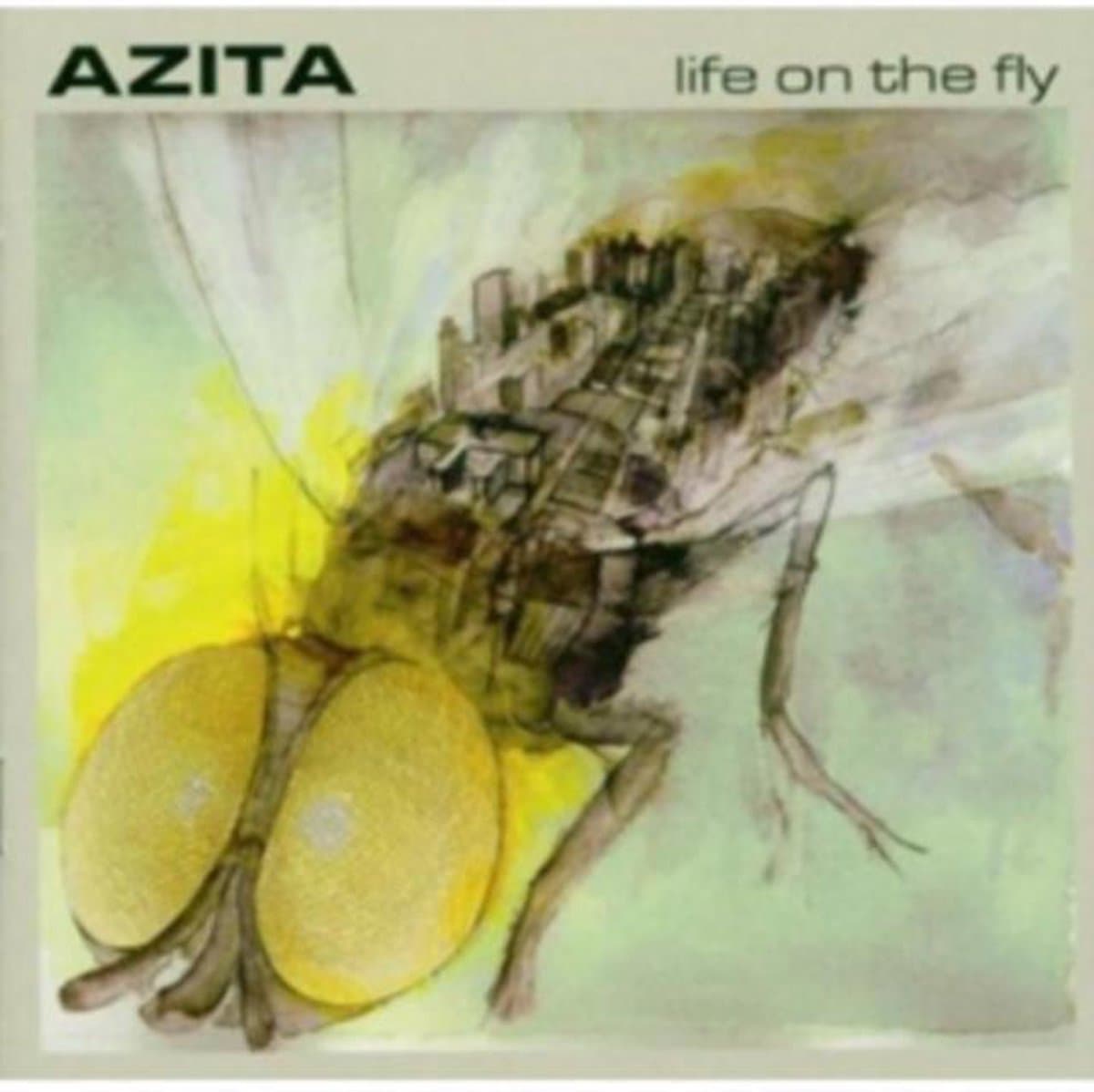 Life On The Fly