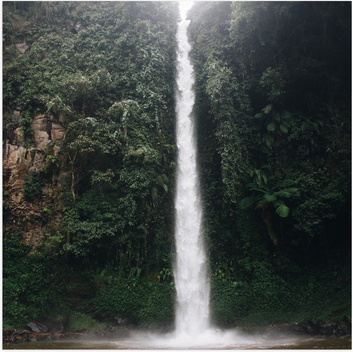 Poster (Mat) - Lange Waterval in Oerwoud - 80x80 cm Foto op Posterpapier met een Matte look