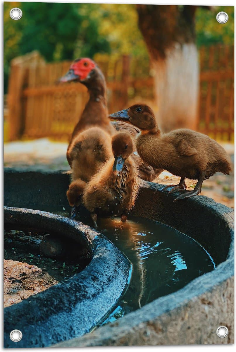 Tuinposter – vladlena-vinokurova-Z-HhyGGwUiw-unsplash - 40x60 cm Foto op Tuinposter (wanddecoratie voor buiten en binnen)