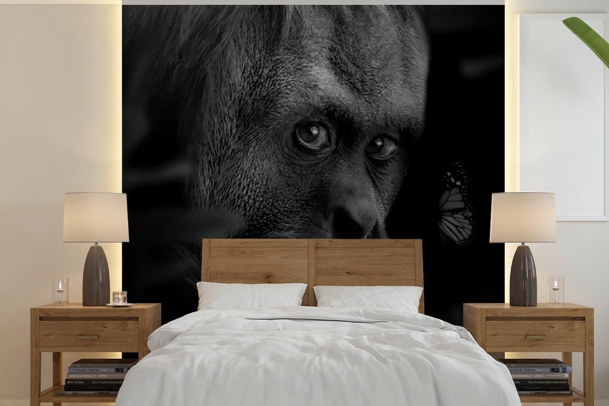 Behang - Fotobehang Dieren - Aap - Natuur - Zwart - Wit - Breedte 300 cm x hoogte 300 cm