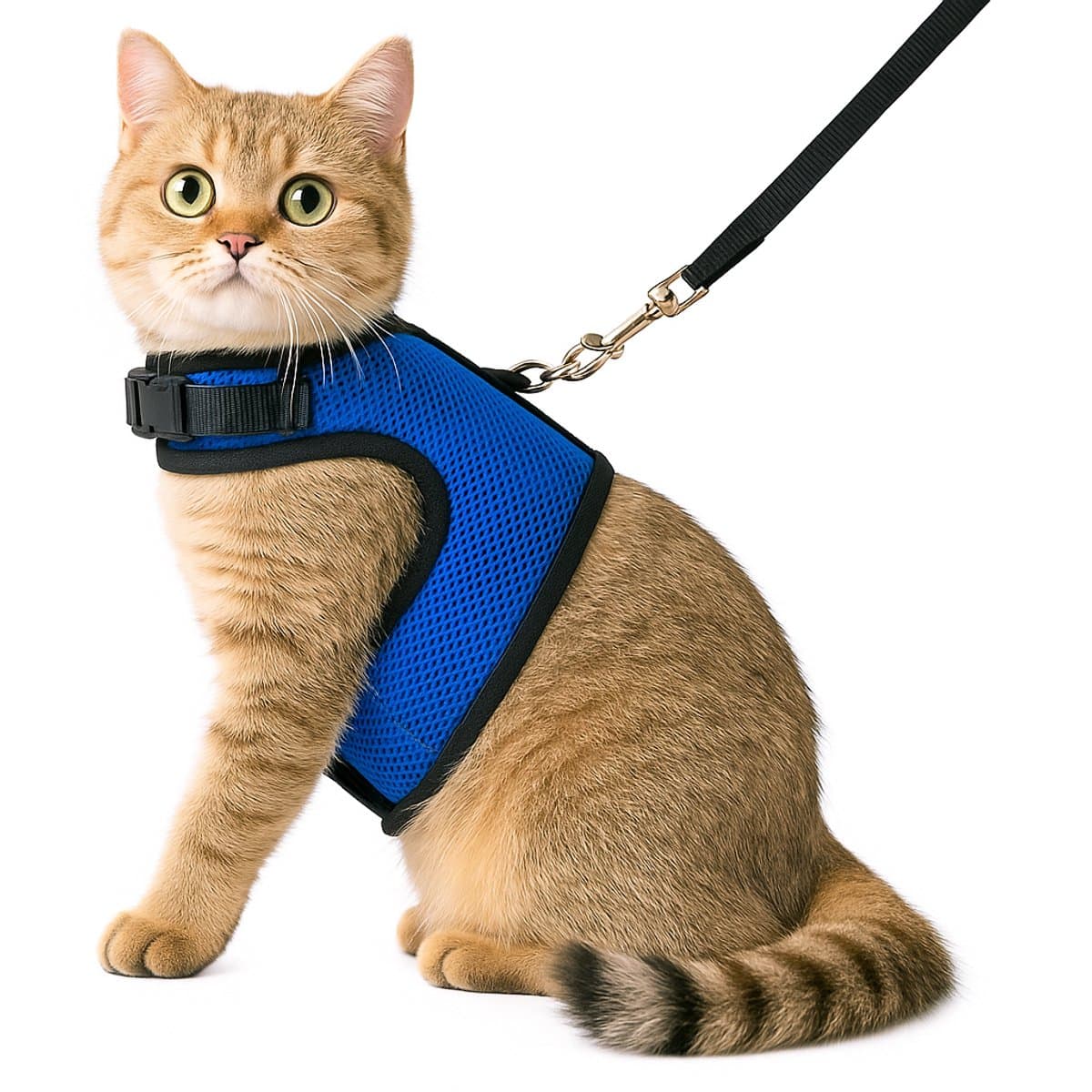 Zootic kattentuigje met looplijn - Kattenharnas marineblauw maat M - Halsomvang 18-24cm & Borstomvang 28-32cm