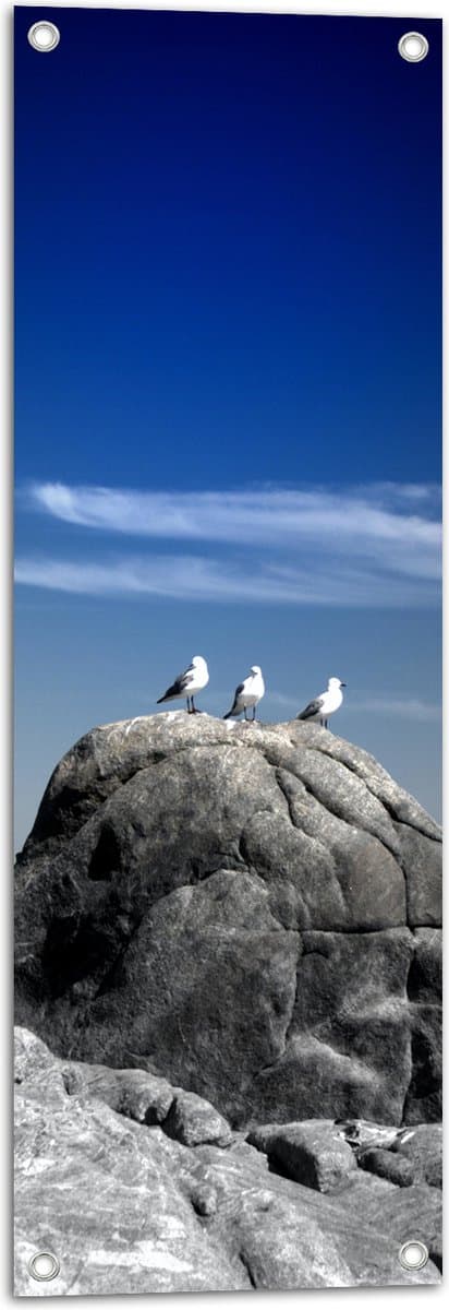 Tuinposter – Drie Zee Meeuwen op Hoge Grijze Rots in het Water - 30x90 cm Foto op Tuinposter (wanddecoratie voor buiten en binnen)