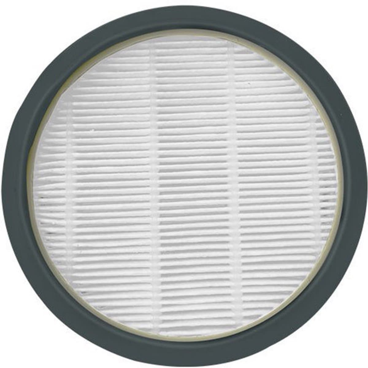 HEPA-stofzuigerfilter geschikt voor Rowenta Swift Power Cyclonic RO29xx, geschikt voor RO2910EA, RO2913EA, RO2915EA, RO2932EA, RO2933EA, RO2957EA, RO2981EA, set van 2