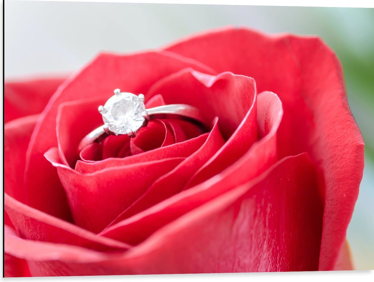 Dibond - Bloem - Roos - Ring - Diamant - Rood - 80x60 cm Foto op Aluminium (Met Ophangsysteem)