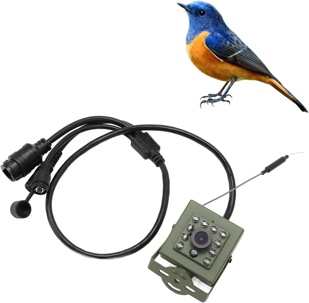 Vogelhuis Camera - Nachtzicht Camera - Vogels Observeren - Groothoek Infrarood - 12 x 8 x 7 cm - Grijs