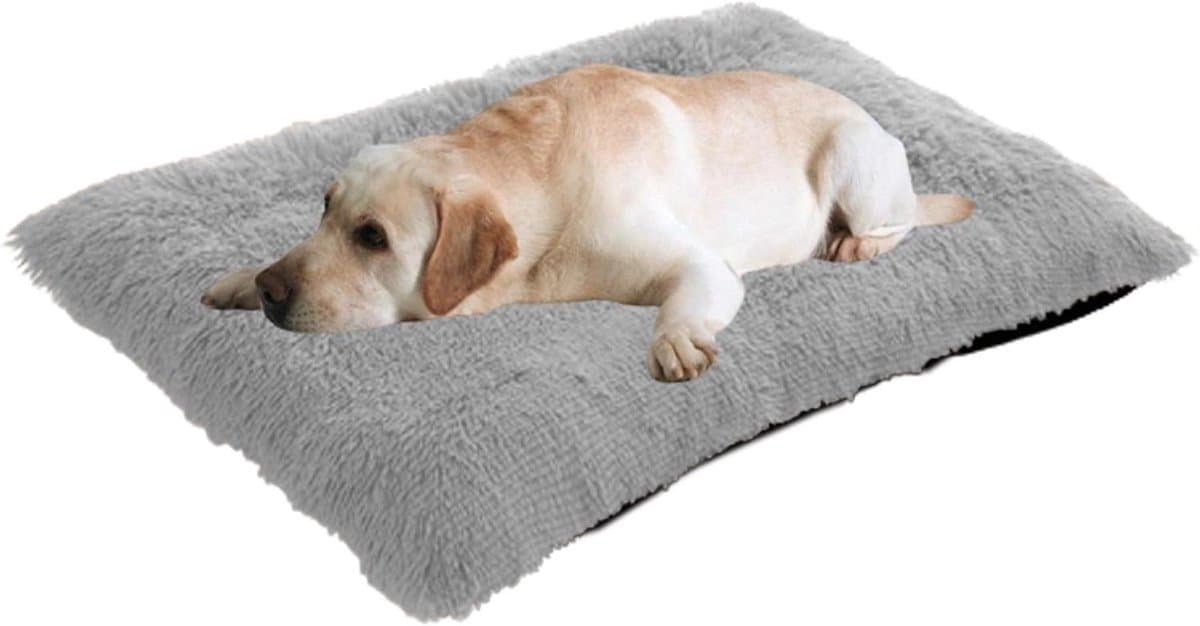 Hondenbed - Huisdierkussen Kennelmat - Ontspannen Slapen - Antislip Bodem - 100 x 70 x 10 cm - Grijs