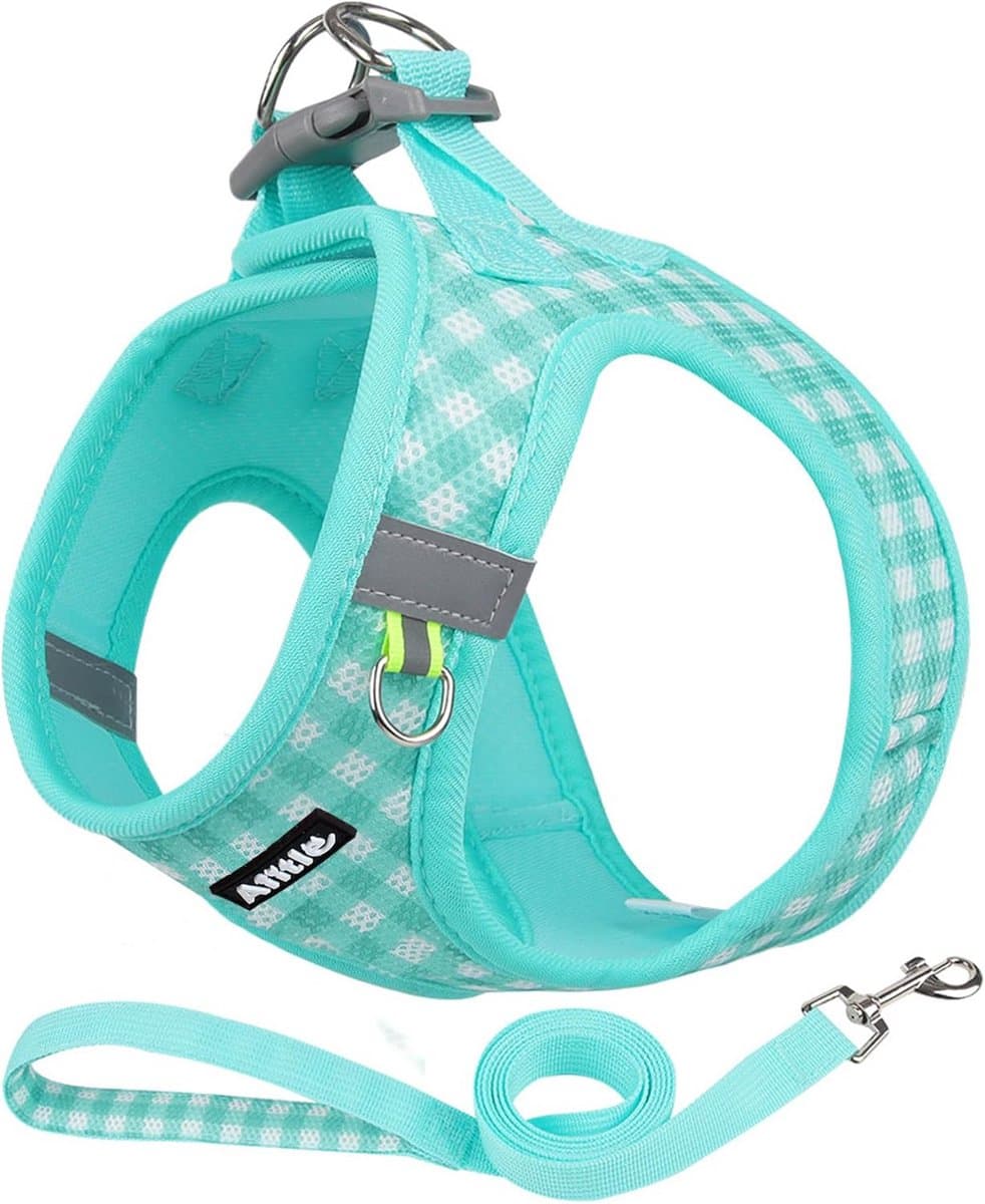 Honden Tuigje Set - Harnas Leash - Veilig Wandelen - Lichtgewicht Ademend - XXS - Turquoise