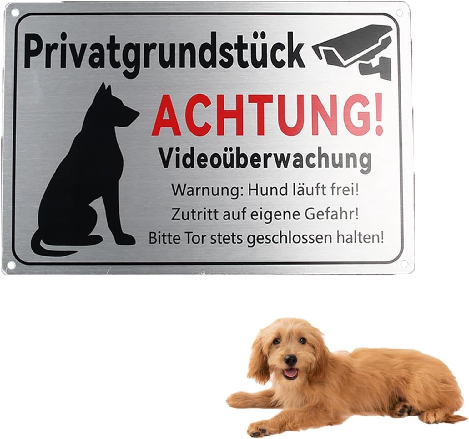 Zelfklevend bord voor honden, waarschuwingsbord voor honden, verhoogde vrijheid, aandacht voor honden en camera - ShopVlot