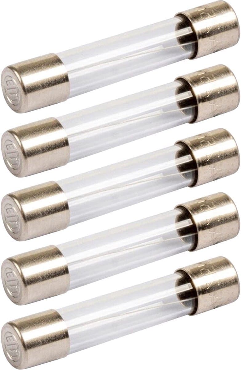 VLTG Glaszekering 5x20mm - 250mA - T(traag) - Beschermt tegen overbelasting - 5 stuks
