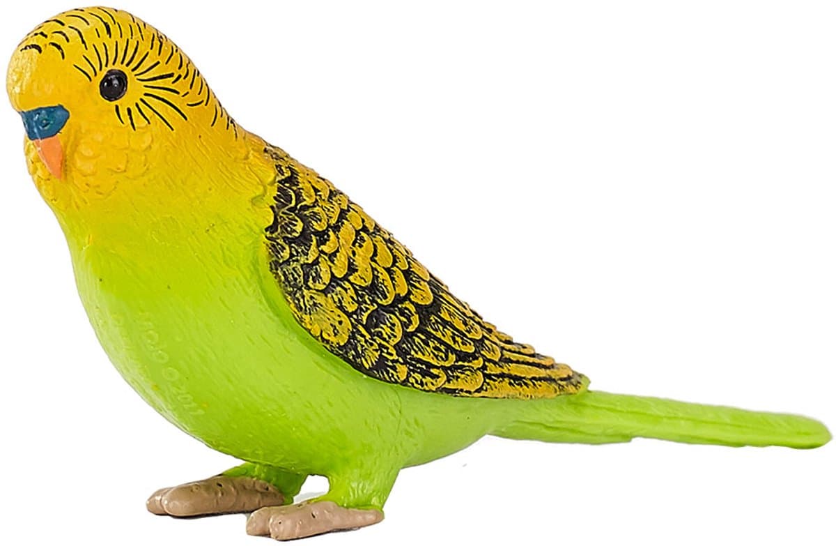 Mojo Farmland Grasparkiet Groen - 387262