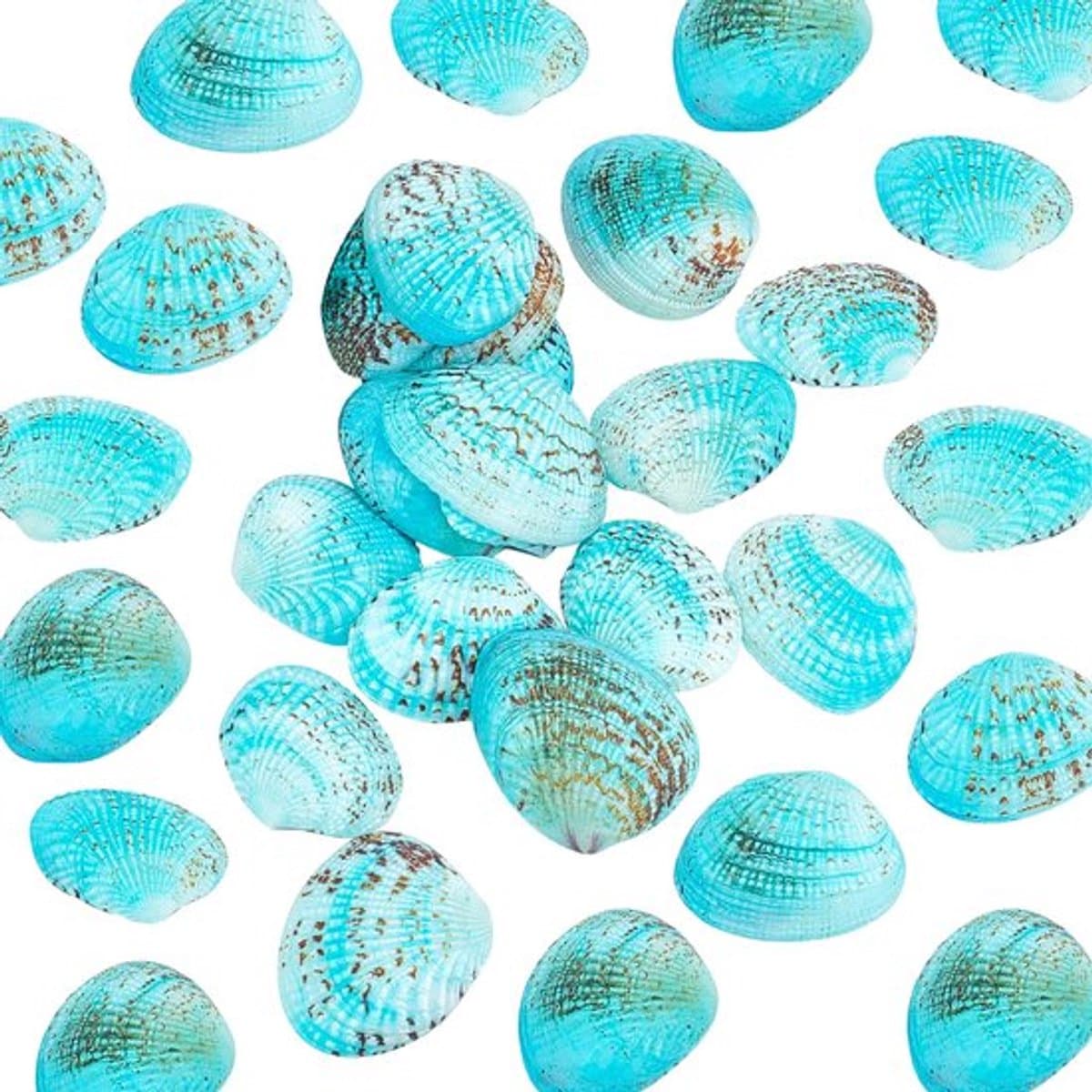 Solidchoice - Dailygoody - Natuurlijke Shell Kralen - Creatief
