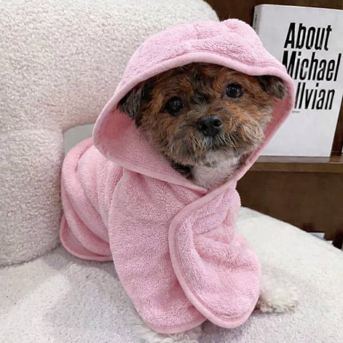 Ultiluxe® Hondenbadjas - Maat M - Roze - Sneldrogend, zacht, absorberend - Microvezel honden badjas - Handdoek na een bad - Verstelbaar met capuchon - Droog maken hond - Ochtendjas met klittenband - Huisdieren