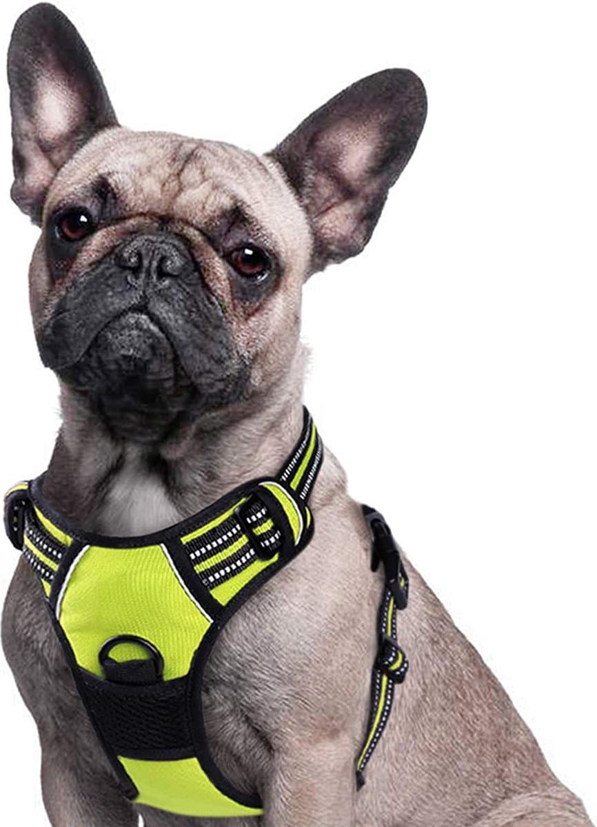 Luxe Hondentuigje – Honden Tuigje – Hondenharnas – dog harness – duurzaam