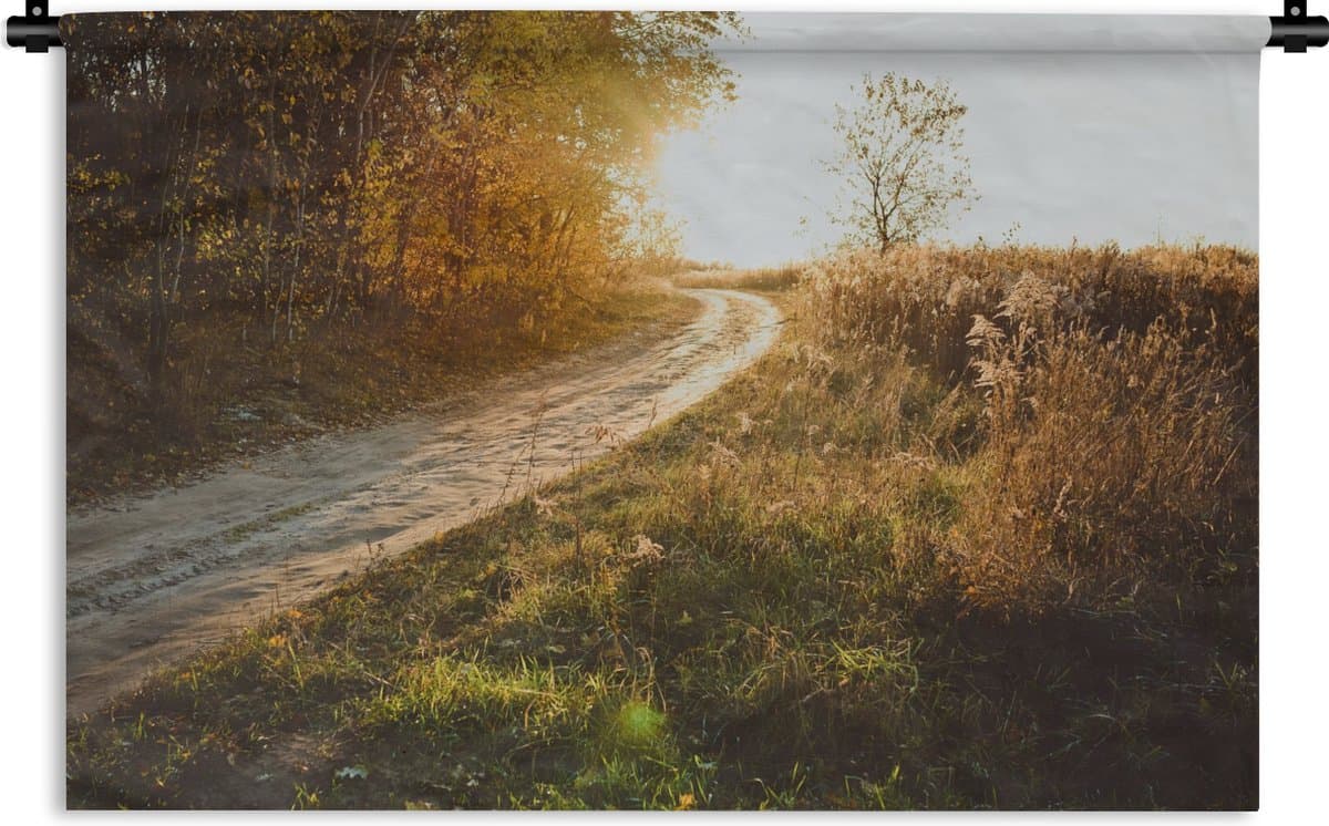 Wandkleed - Wanddoek - Pad - Natuur - Boom - 180x120 cm - Wandtapijt