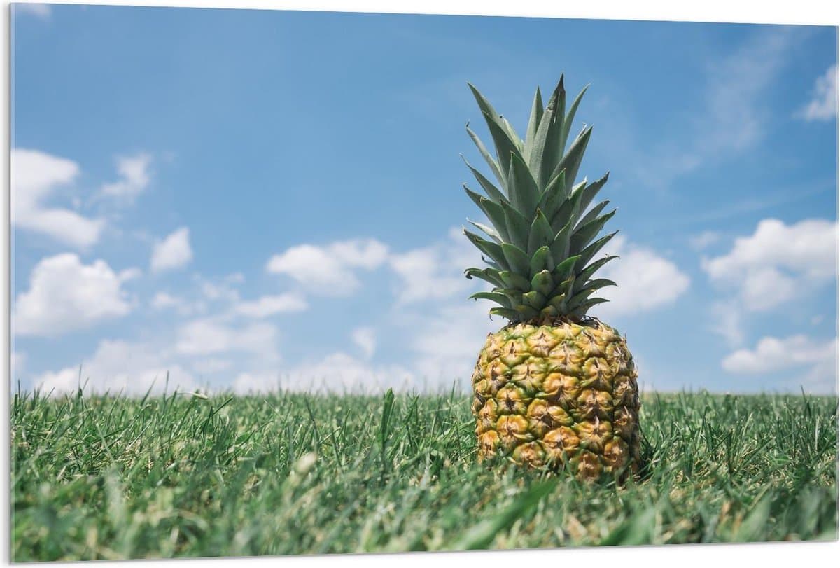 Acrylglas - Groene Ananas in het Gras met Blauwe Lucht - 120x80cm Foto op Acrylglas (Wanddecoratie op Acrylglas)