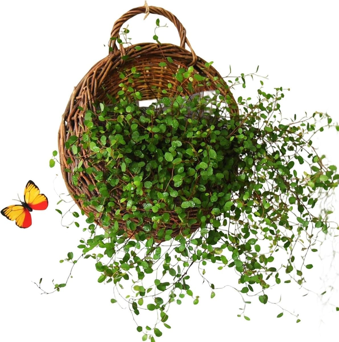 Bewaarmanden Rotan - Wanddecoratie Mand - Planten Decoratie - Afneembare Voering - 28x12x28 cm - Natuurlijk