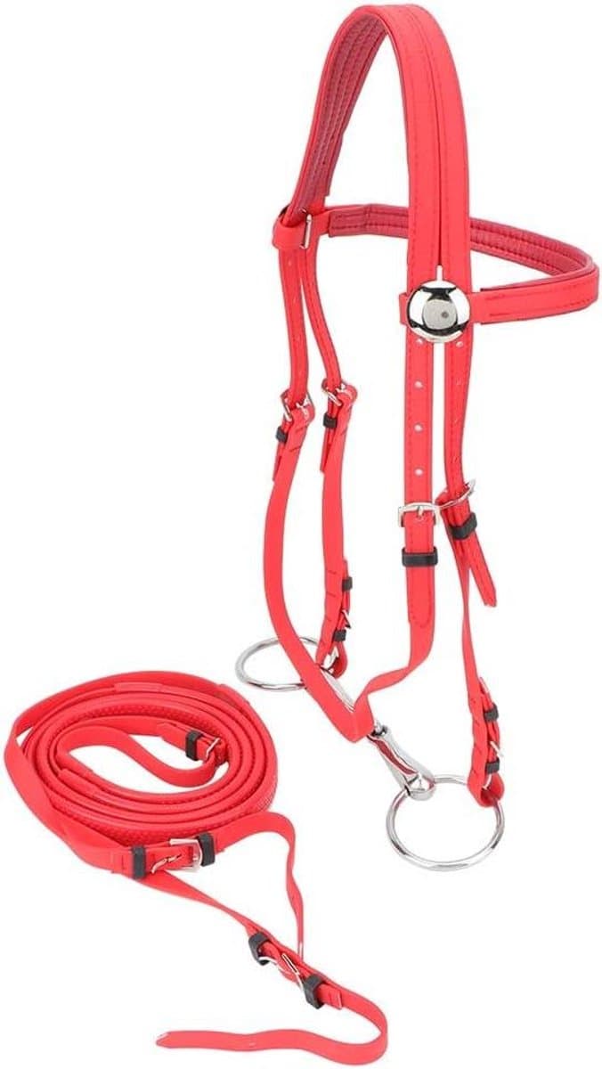 Paardenhoofdstel - Hoofdstel Teugelharnas - Paardrijden Training - Waterbestendig PVC - 1.3-1.7 Meter - Rood