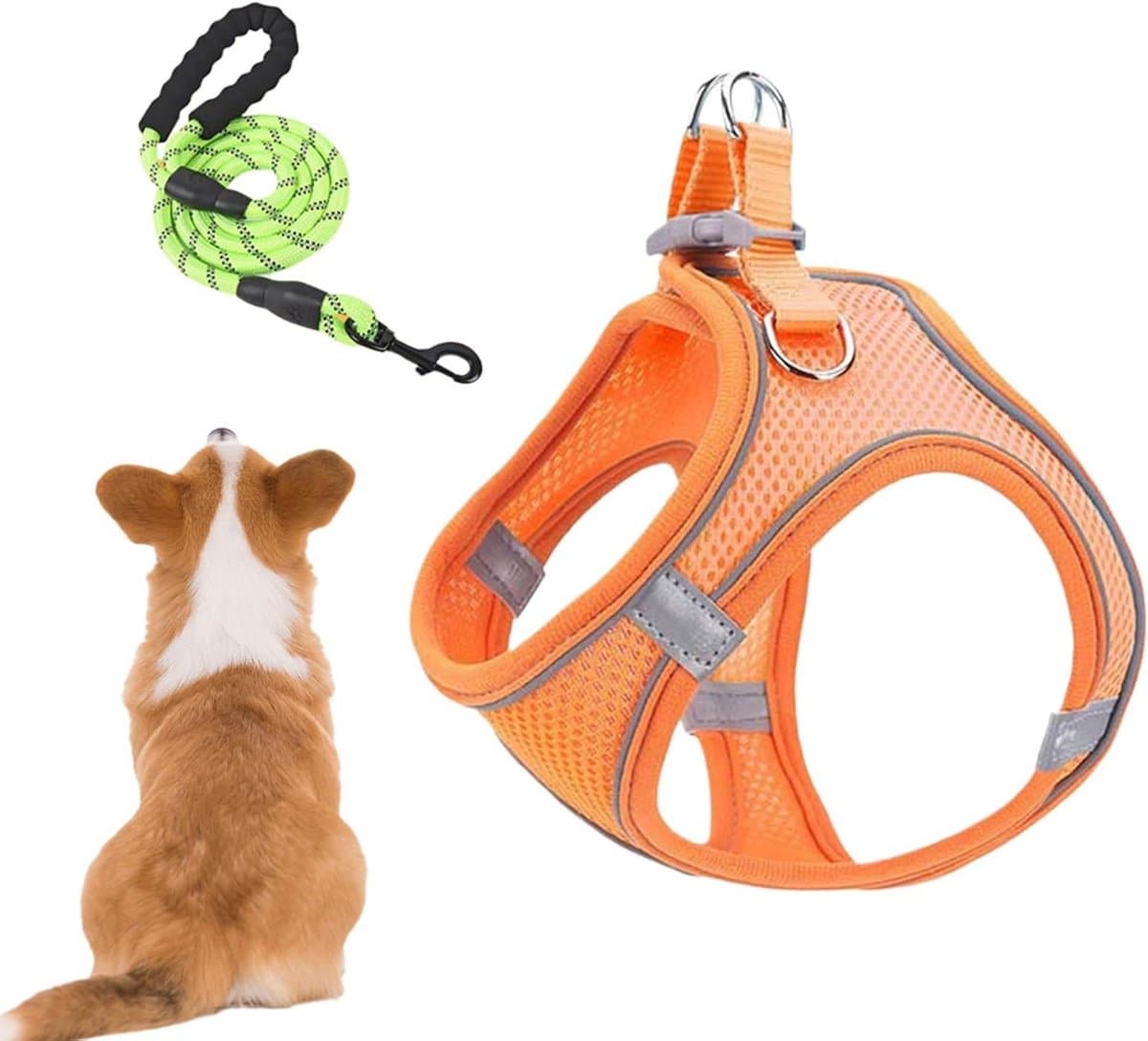 Huisdier Harnas - Harnas Riem - Veilig Wandelen - Ontsnappingsbestendig Design - Verstelbaar - Oranje