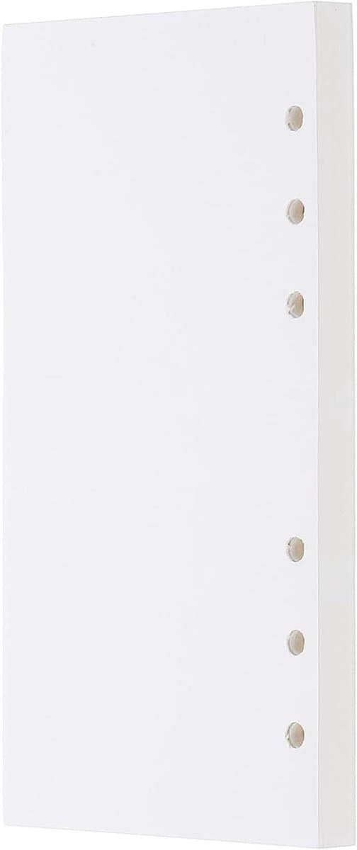 Allecto Plus - Blanco A6 navulpapier voor 6-gaats ringband notebook - Planner vullingen met 80 vellen/160 pagina's