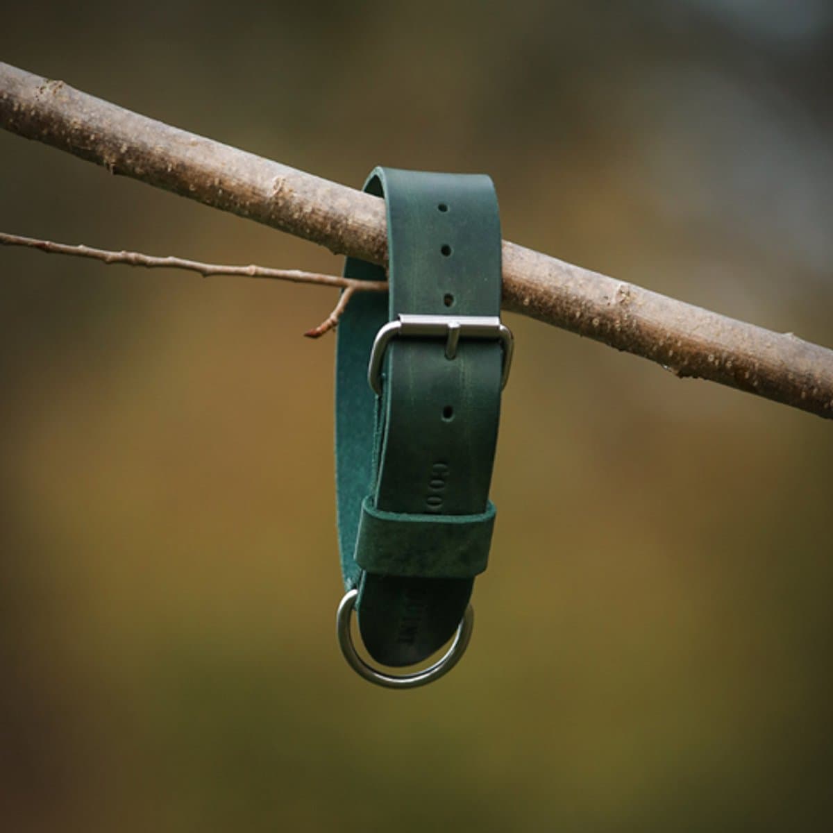 Cooper & Quint Bold Brede Leren Halsband - Groen - Small - 4 cm - Zilver