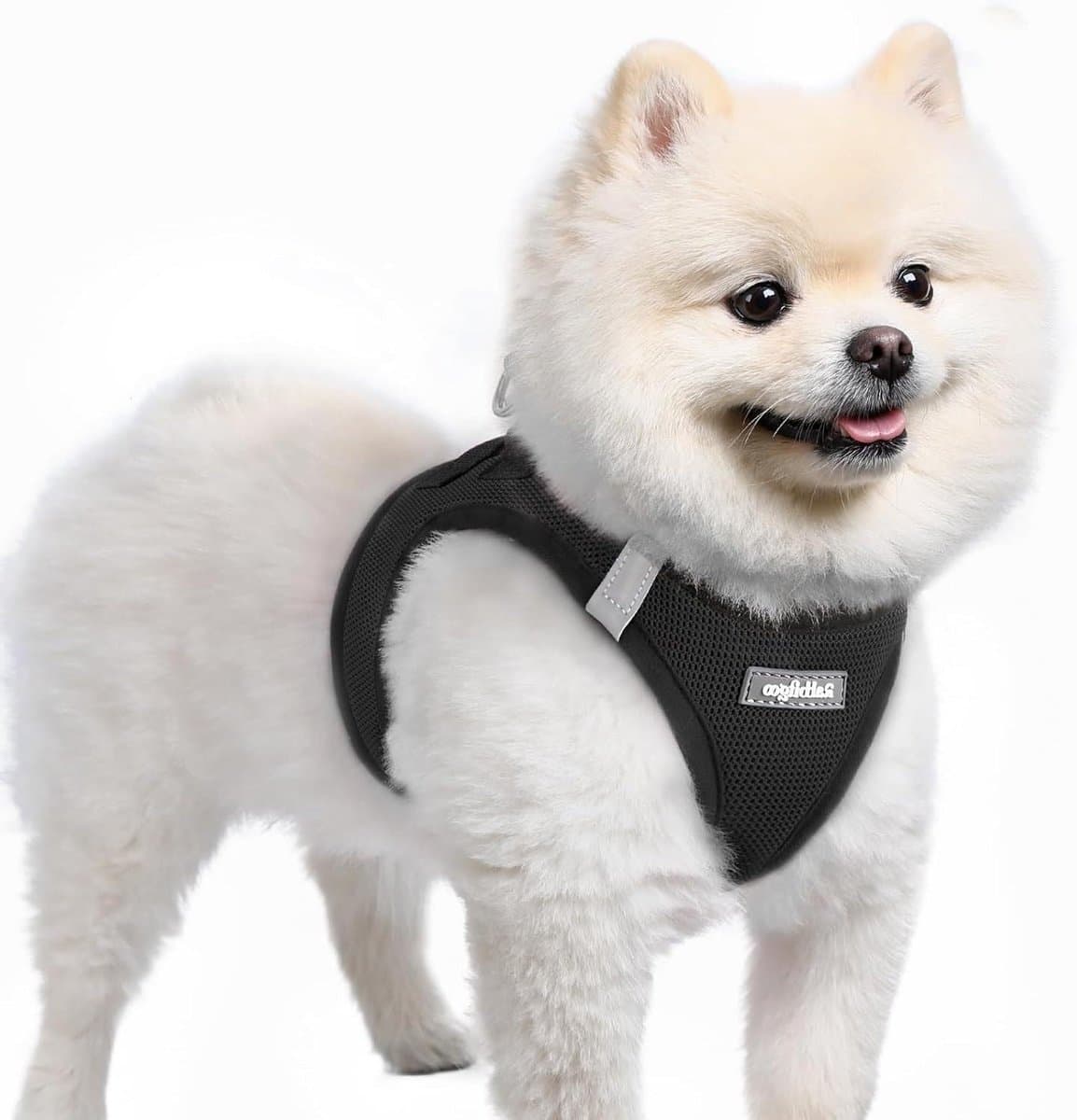 Hondentuigje Stap-in - Puppy Tuigje - Veilig Wandelen - Ademend Mesh - Maat S - Zwart