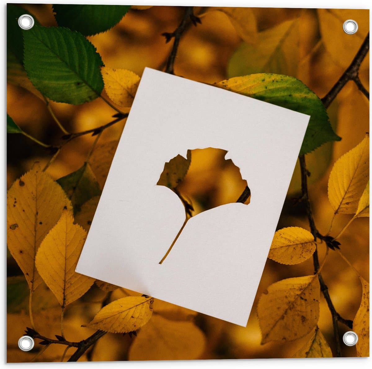 Tuinposter – Wit A4 met Uitgesneden Blad tegen Struik met Groen- Gele Bladeren - 50x50 cm Foto op Tuinposter (wanddecoratie voor buiten en binnen)