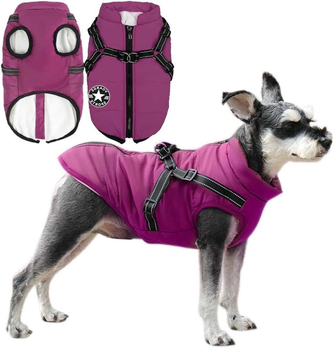 Hondenjas Winter - Hondenvest Outdoor - Bescherming Tegen Kou - Waterdicht Met Harnas - XX-Large - Paars