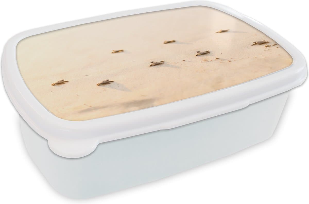 Broodtrommel Wit - Lunchbox - Brooddoos - Baby schildpadden fotoprint - 18x12x6 cm - Volwassenen