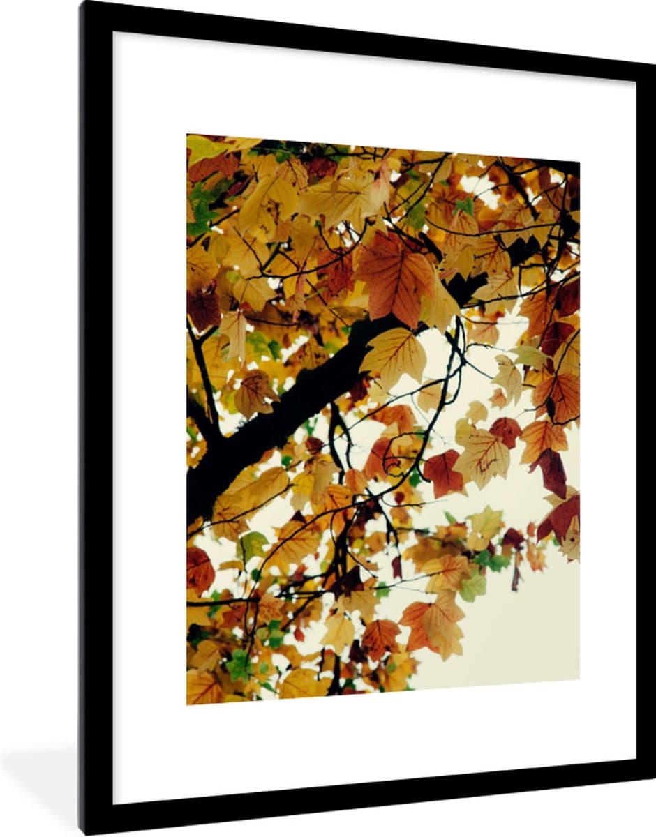 Poster in lijst - Fotolijst 60x80 cm - Posters - Bomen - Herfstbladeren - Natuur - Posterlijst zwart - Decoratie - Wanddecoratie woonkamer - Muurdecoratie slaapkamer