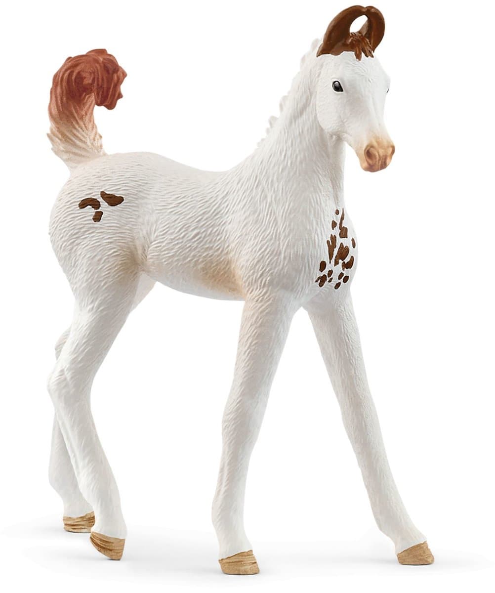 Schleich Horse Club Marwari veulen speelfiguur - Meerkleurig, 2,5 cm