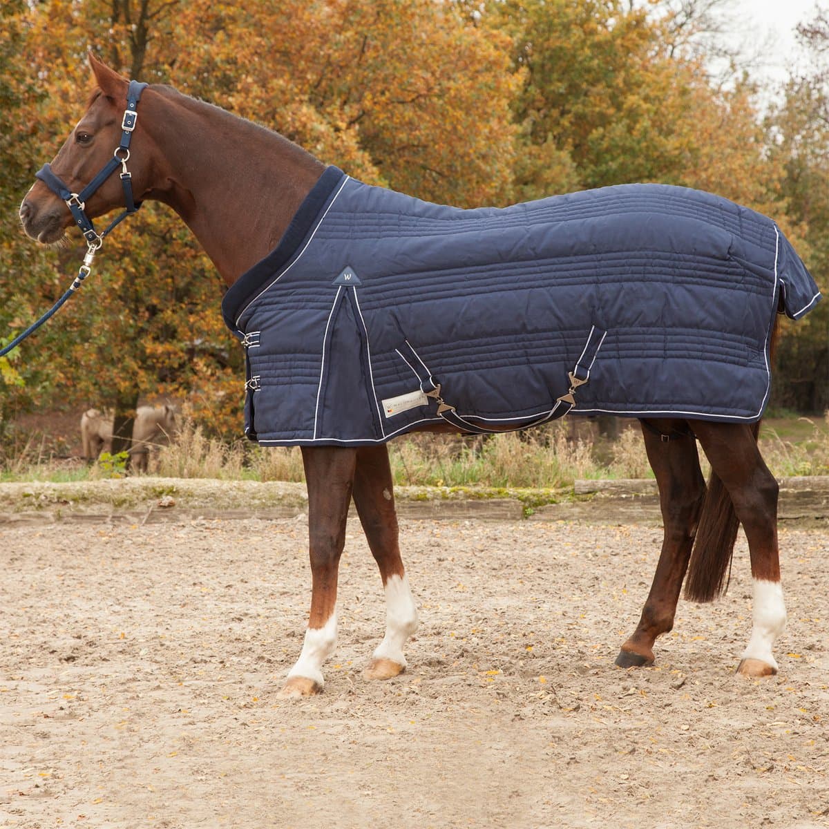 WALDHAUSEN COMFORT STALDEKEN 300GR Donkerblauw