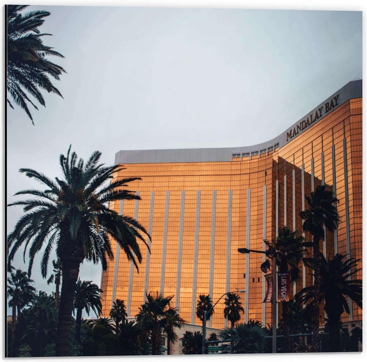 Dibond - Hotel tussen Palmbomen - 50x50cm Foto op Aluminium (Met Ophangsysteem)
