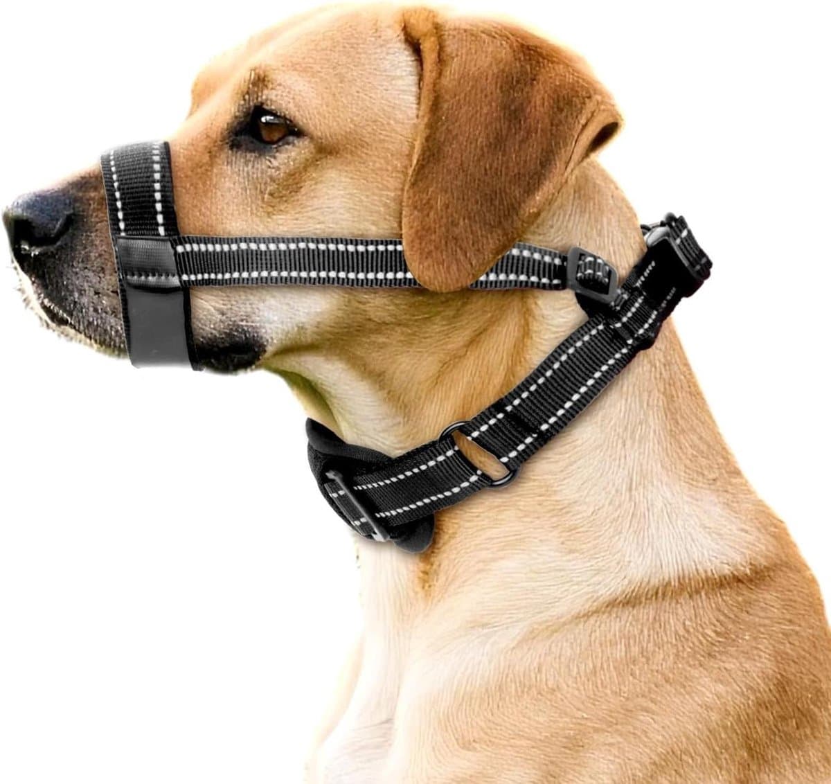 Hondenmuilkorf - Hondenmasker - Gedragscontrole Hond - Ademend Mesh Design - Maat L - Zwart