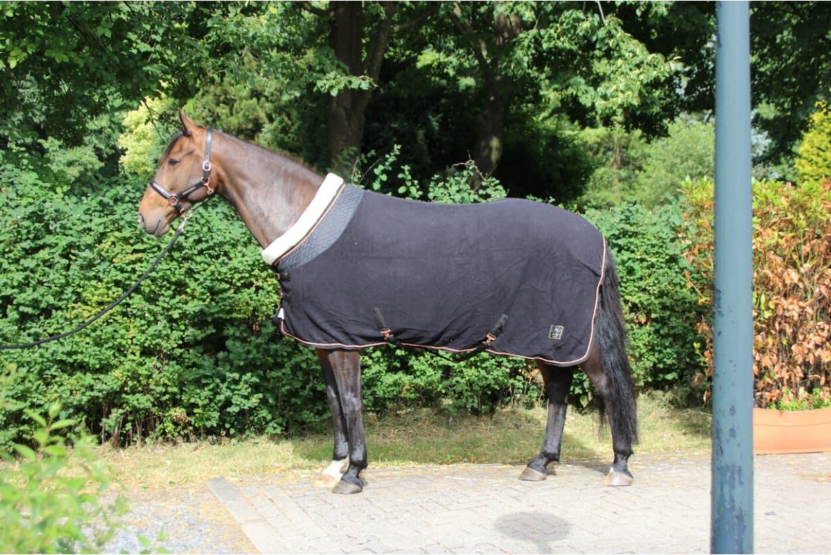 MHS Fleecedeken Deluxe 115/145 cm Zwart
