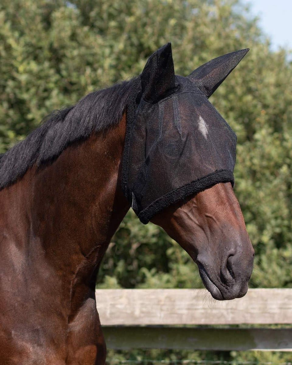 Vliegenmasker met oren - Paardenmasker insecten - Bescherming paard - Anatomische vorm - Shetty XS - Zwart